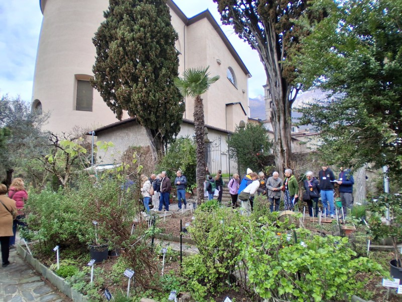 WhatsApp_Image_2026-03-21_at_13.18.19.jpeg (195 KB)