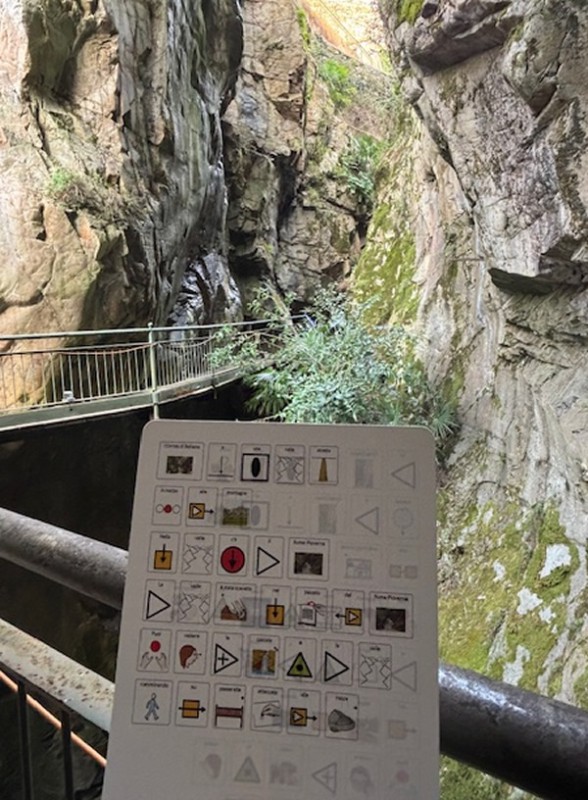 bellanoinclusione__2_.jpg (138 KB)