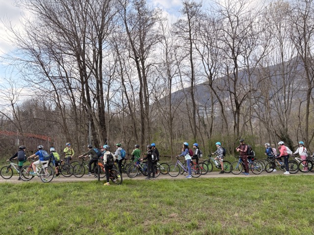 bicicivate2.jpeg (168 KB)