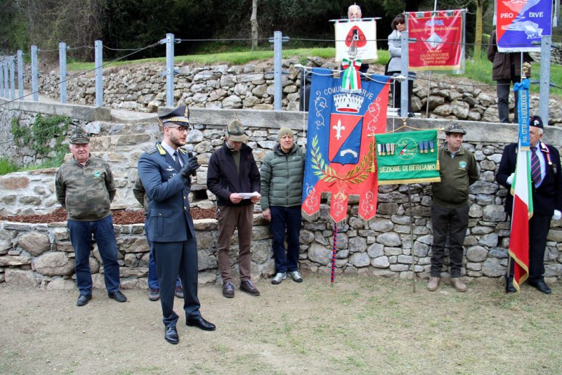 ervetalea6.JPG (162 KB)