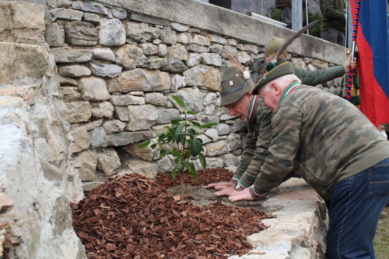 ervetalea9.JPG (143 KB)