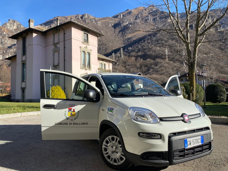 foto_pandina.jpeg (159 KB)