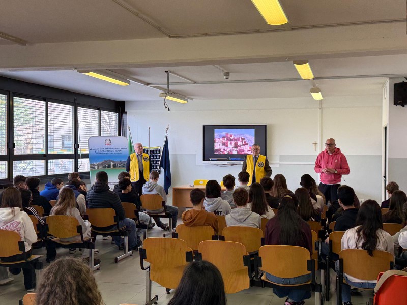 martinalions.jpeg (117 KB)