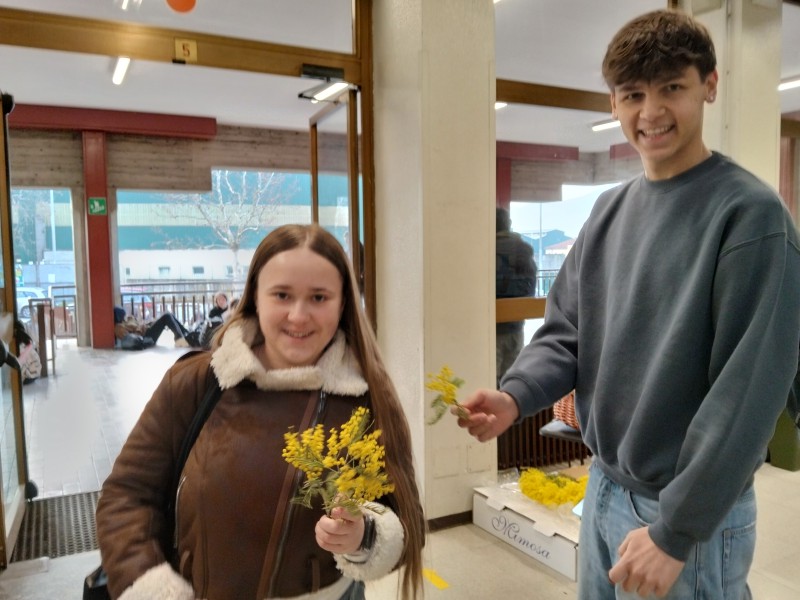 mimosaparini2.jpg (97 KB)