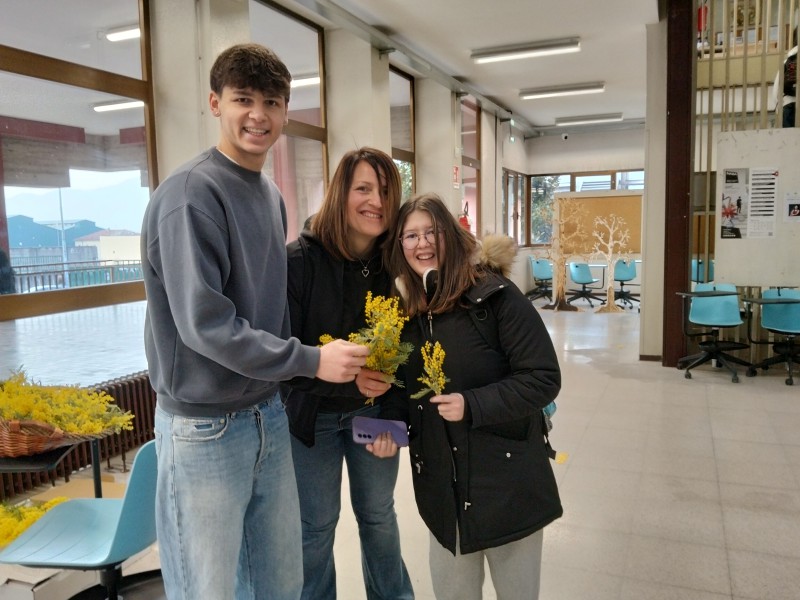 mimosaparini3.jpg (106 KB)