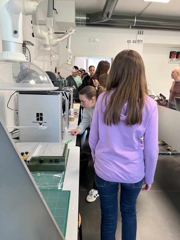 ticozzipoli__1_.jpg (104 KB)