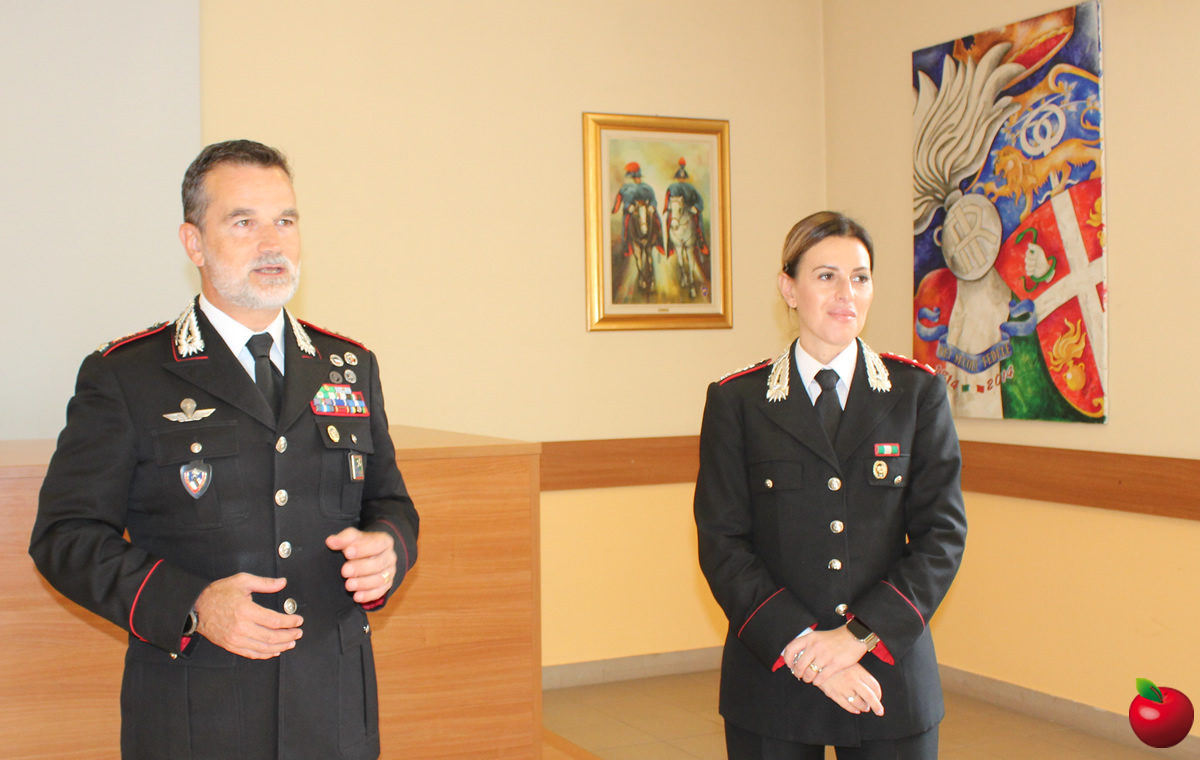 cc_stornelli1.jpg (239 KB)