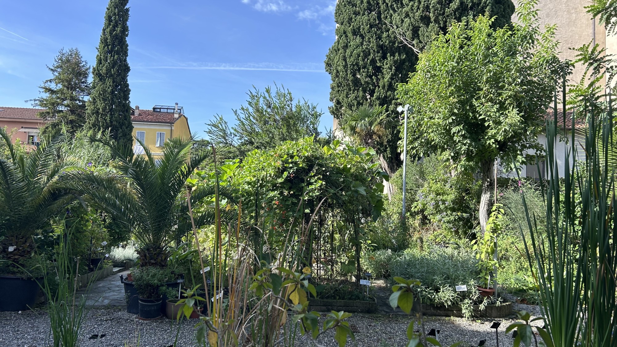 ortobotanicovalmadrera__2_.jpg (937 KB)