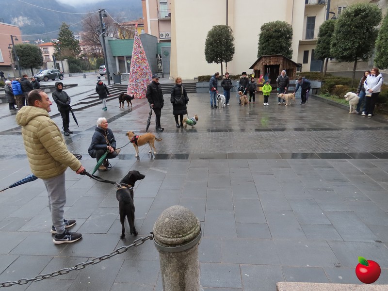 concorsoanimalivalma 02
