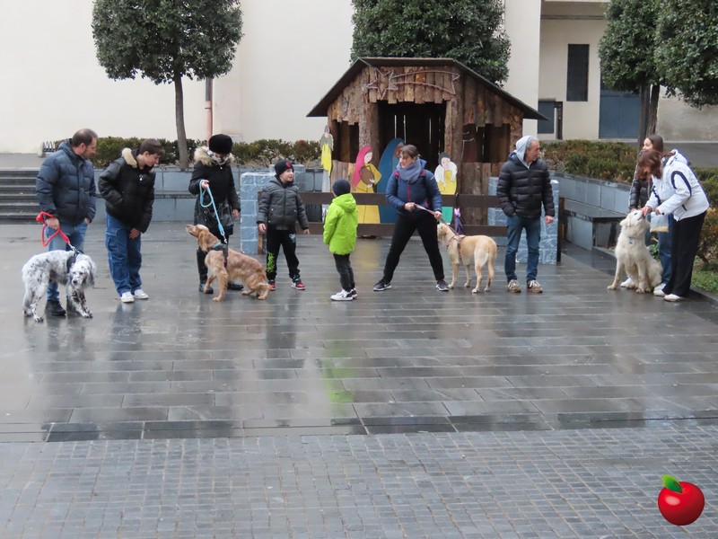 concorsoanimalivalma 04