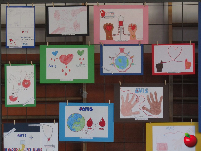 IMG_3008.jpg (129 KB)