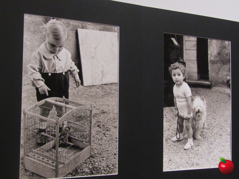 IMG_3469.jpg (135 KB)