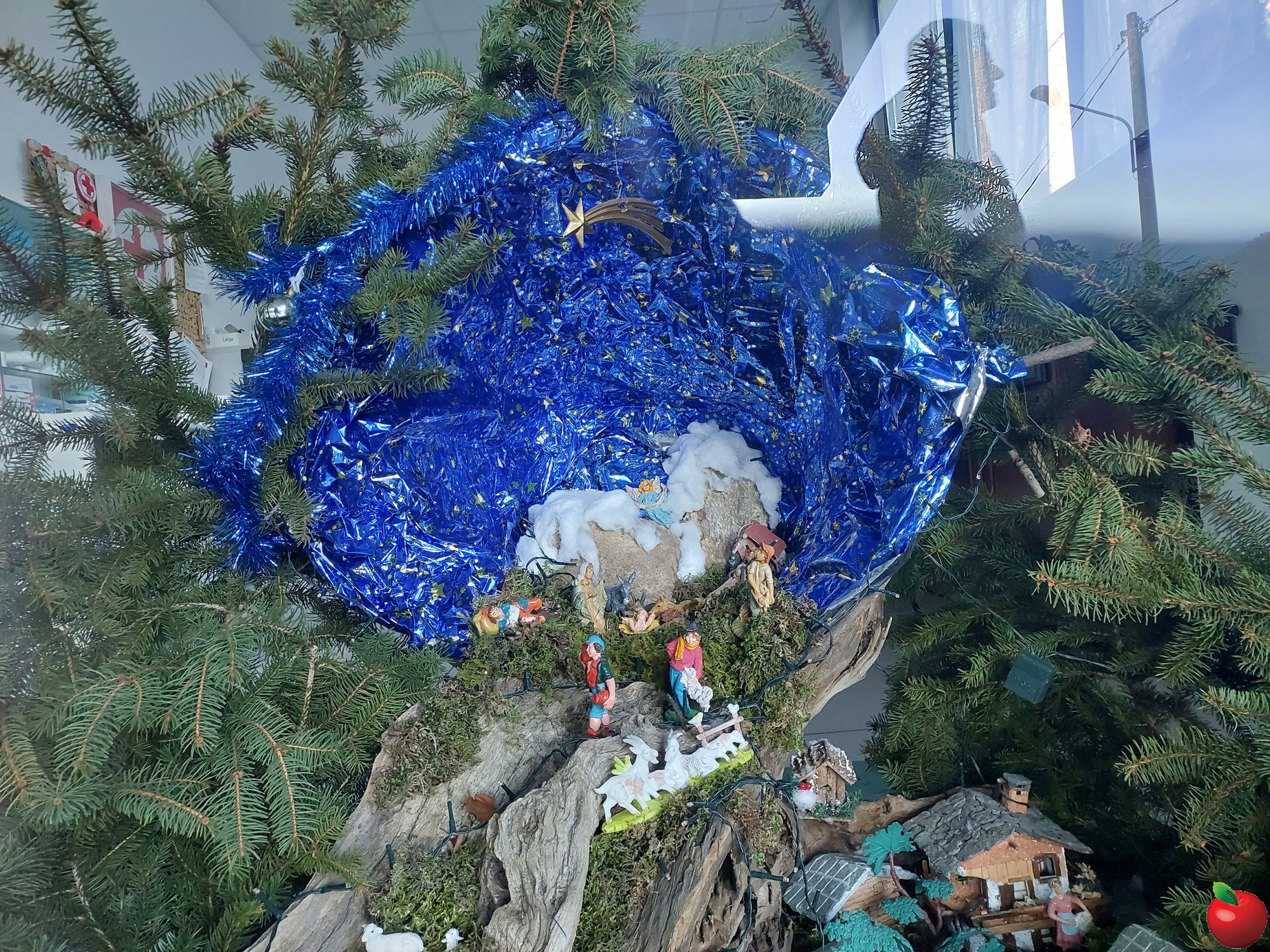 20251227_154933.jpg (1.32 MB)