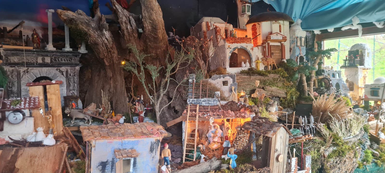 IMG-20251206-WA0047.jpg (212 KB)