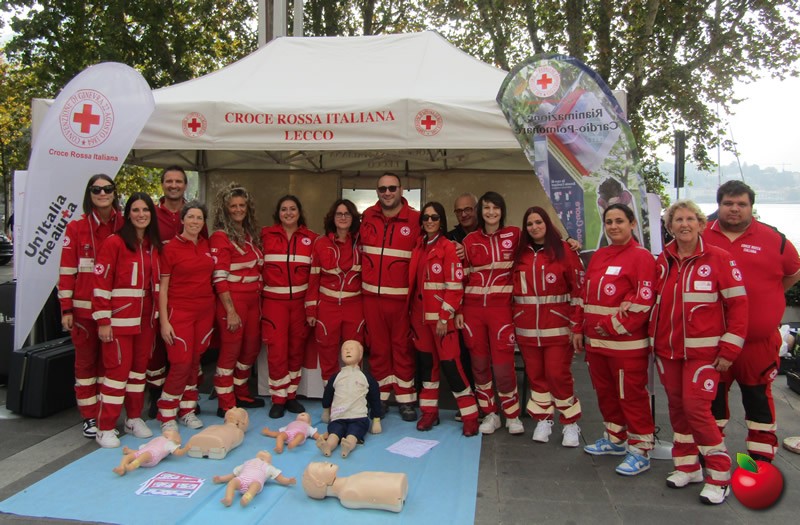 IMG_2783.jpg (136 KB)