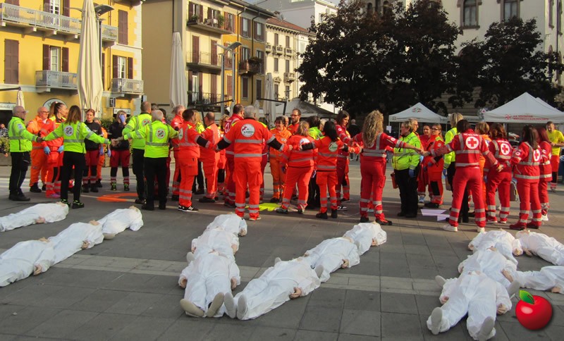 IMG_2787.jpg (125 KB)