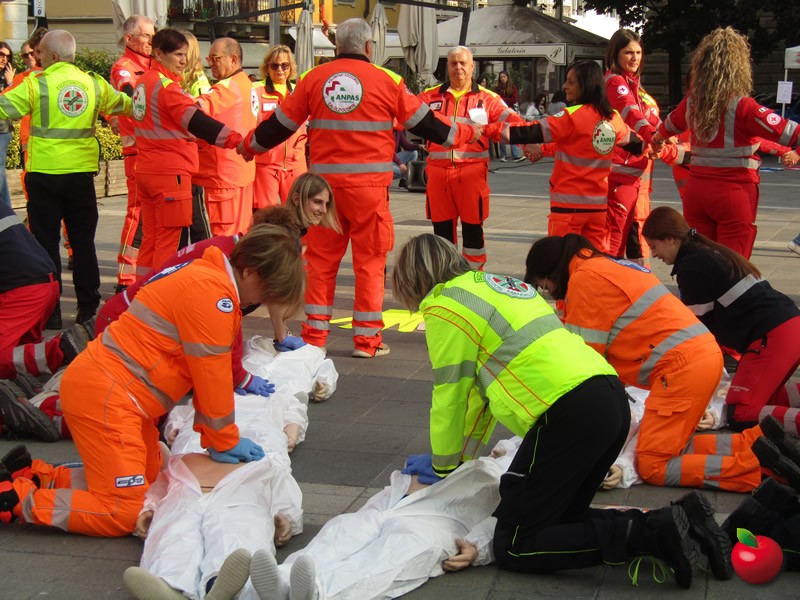 IMG_2794.jpg (145 KB)