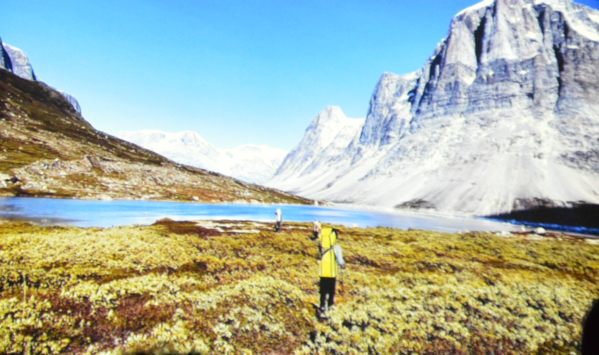 11_Della_Bordella_2__2_.JPG (556 KB)