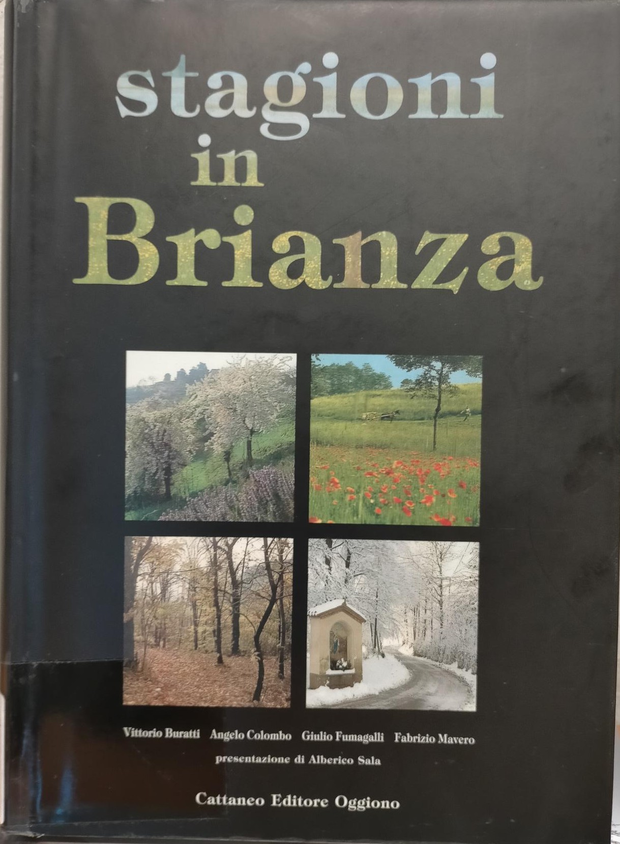 1985_01_COPERTINA_STAGIONI_BRIANZA.jpg (326 KB)