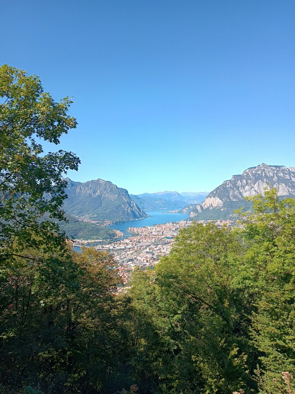 IMG_20230924_132146459_HDR.jpg (164 KB)