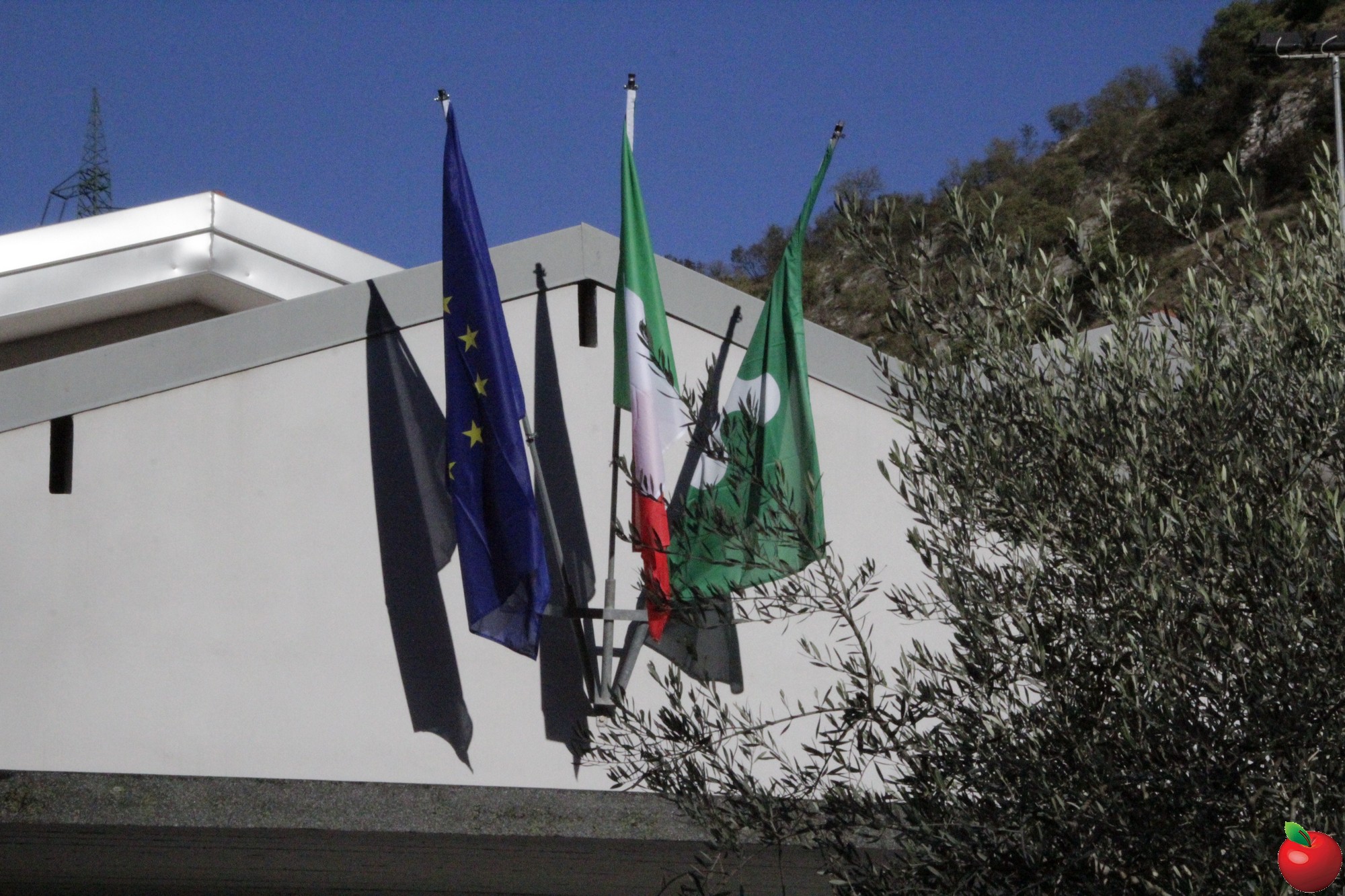 _MG_9171.jpg (664 KB)