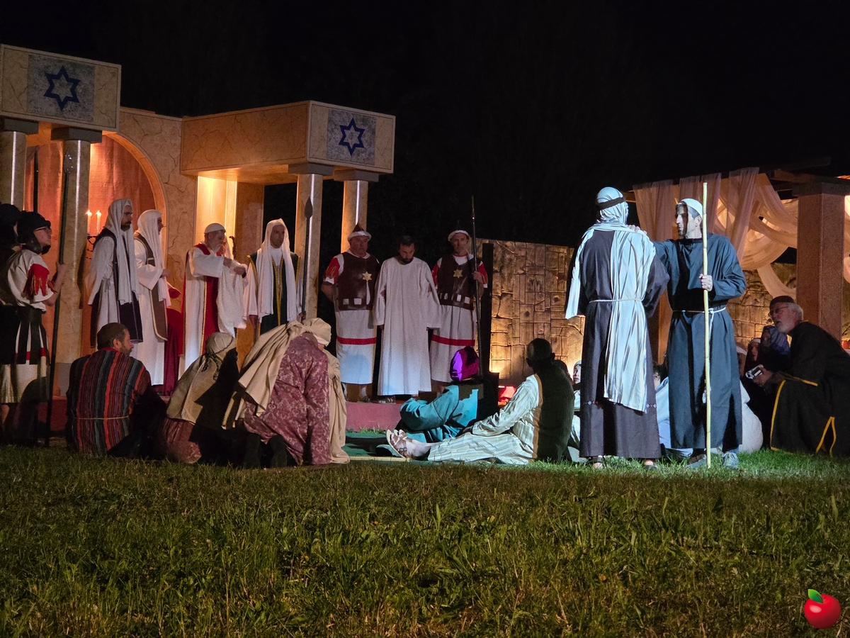 calolziopassione__44_.jpg (921 KB)