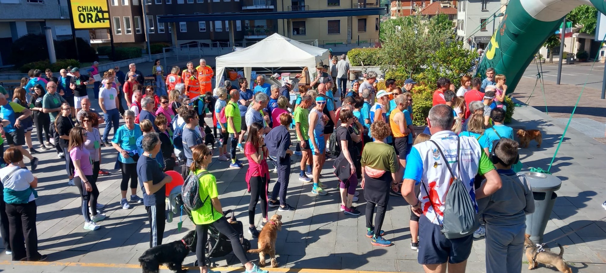 stoplucemia2026__5_.jpeg (517 KB)