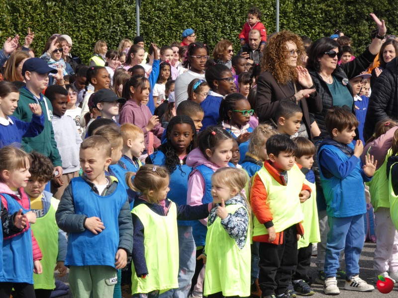 P1110136.jpg (172 KB)