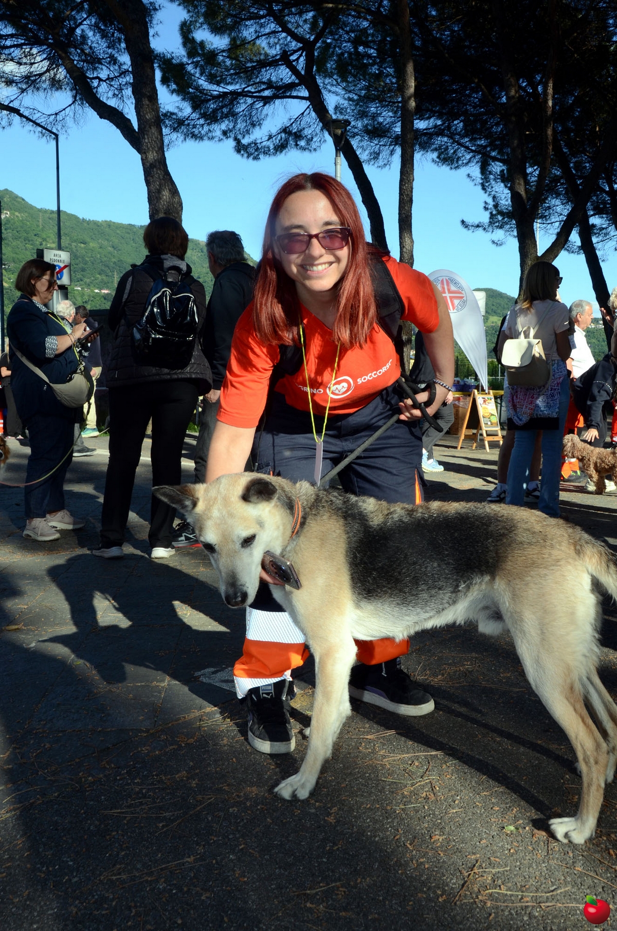 PASSEGGIATA A 6 ZAMPE 11