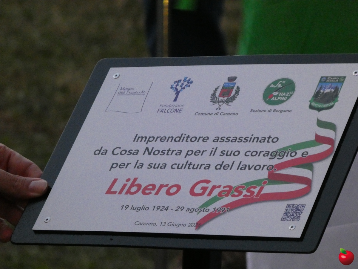 carennotaleafalcone__49_.jpg (701 KB)