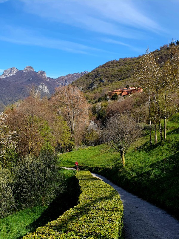 WhatsApp Image 2026-04-01 at 10.20.05  1 .