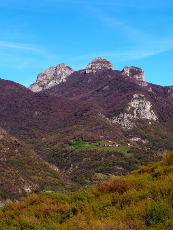 WhatsApp Image 2026-04-01 at 10.20.06  2 .