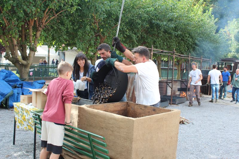 castagnegiuseppe  1 