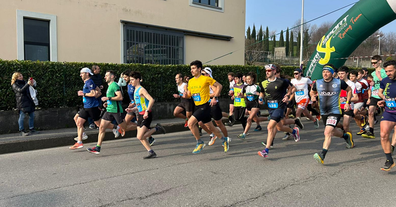 sangenesiorun__2_.jpg (292 KB)