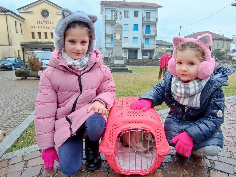 introbiosanantonio__16_.jpg (152 KB)