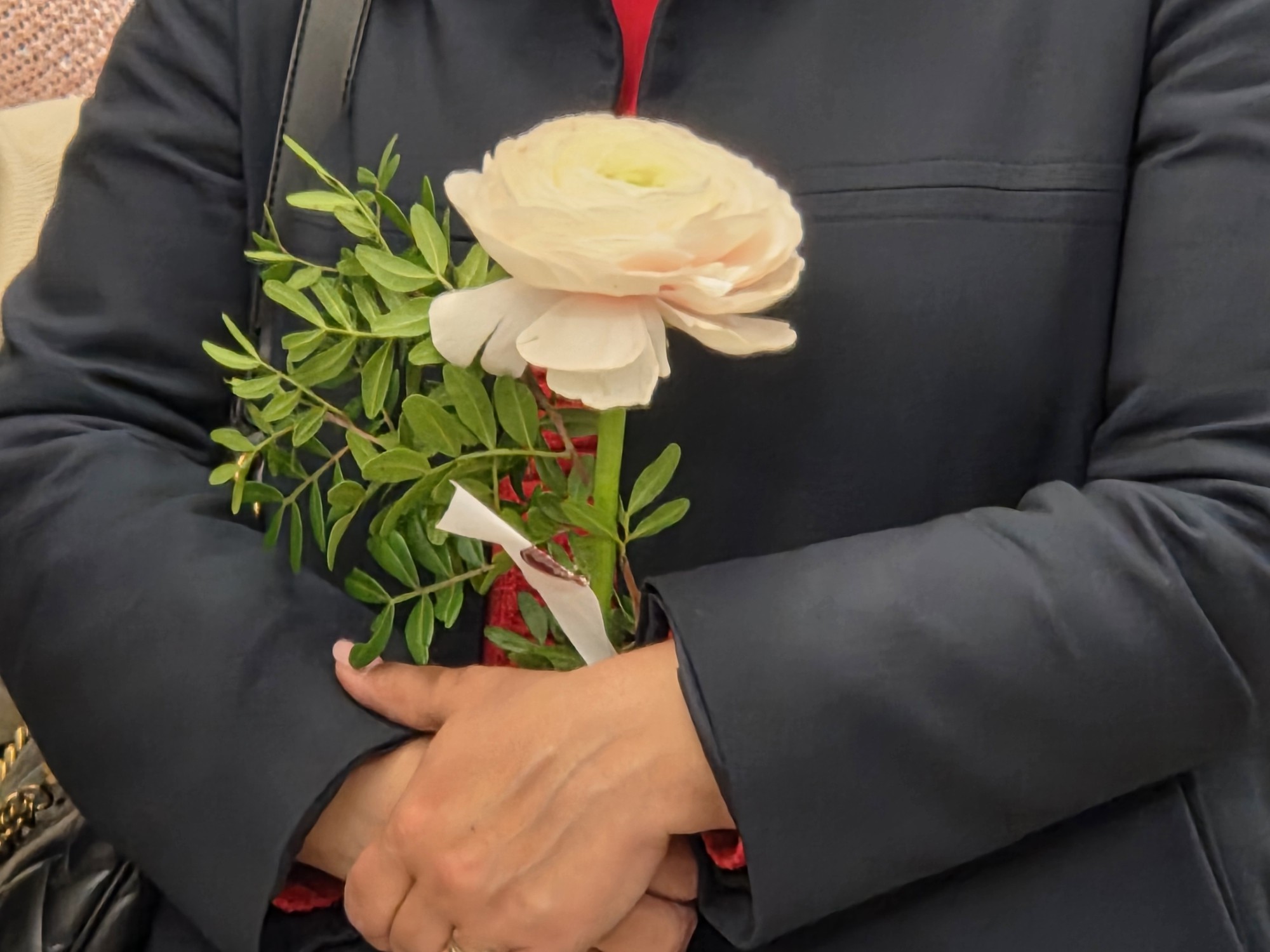 listafratelliitalia  12 