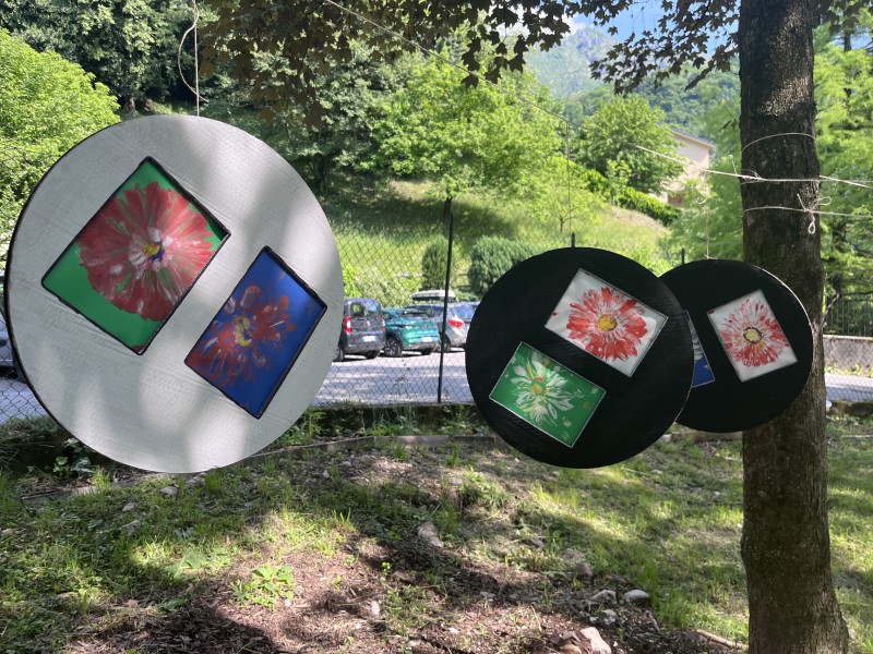 Lecco-CFP-fiori-7.JPG (191 KB)