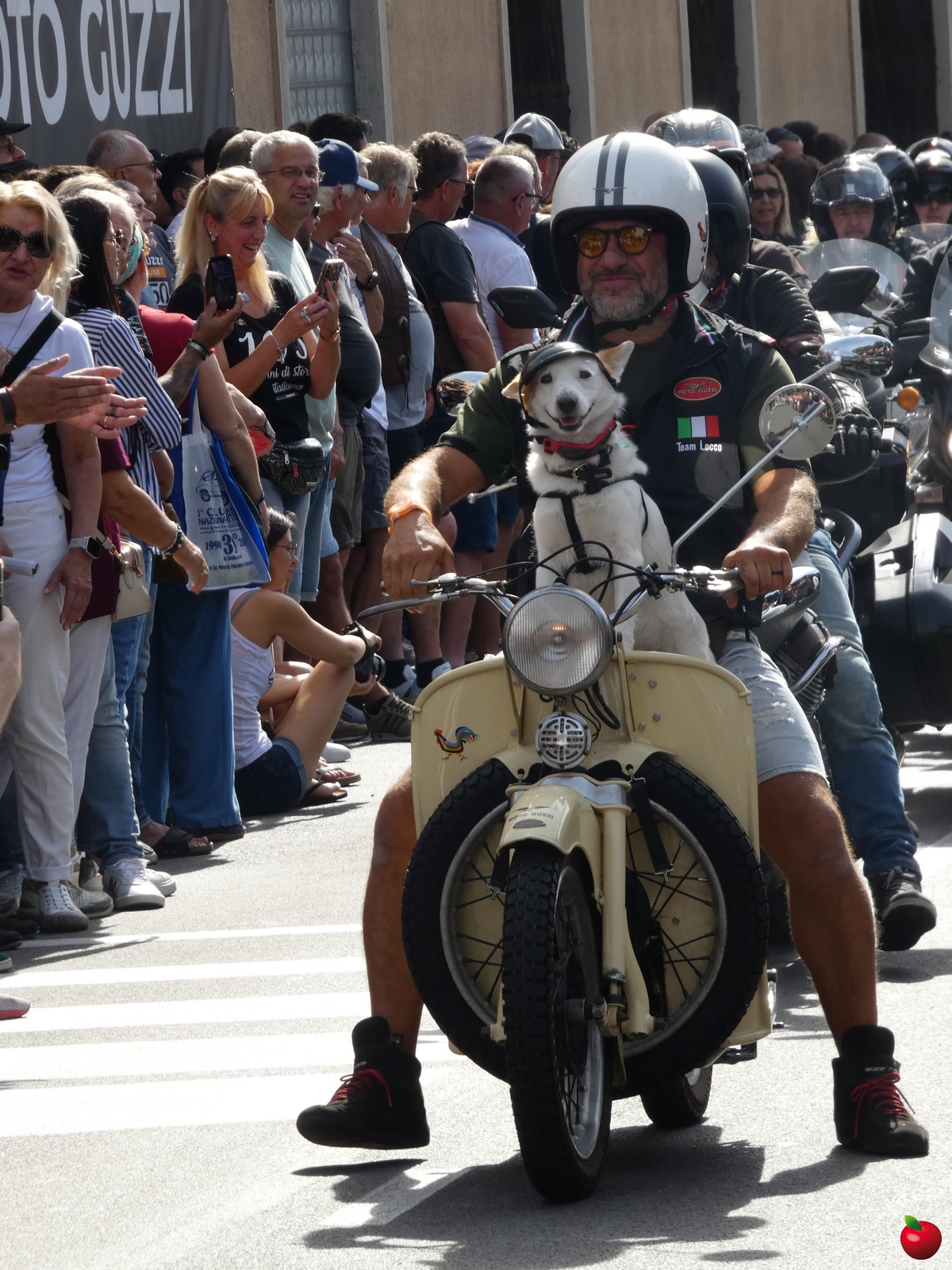 paratamotoguzzi__84_.jpg (1.32 MB)
