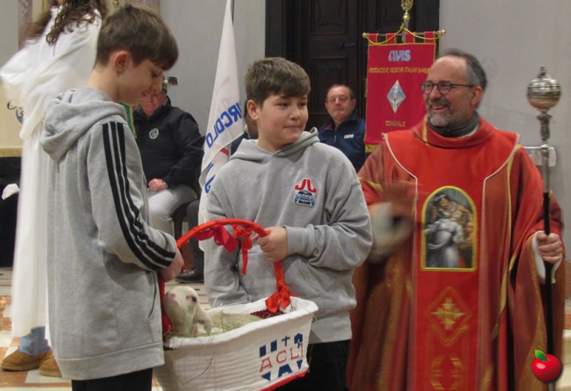 IMG_3652.jpg (87 KB)