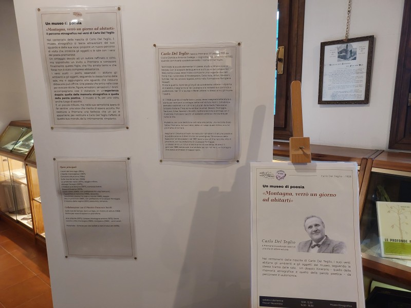 Mostra_100_anni_Del_Teglio__23_.jpg (85 KB)
