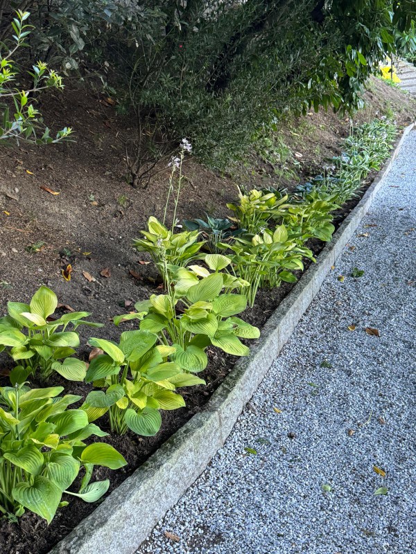 villa_monastero_giardino_botanico__10_.jpg (242 KB)