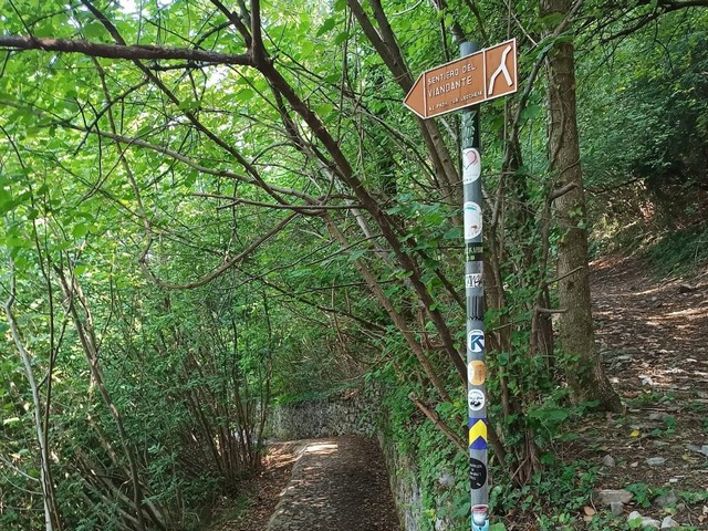 viandante tappa 3  14 