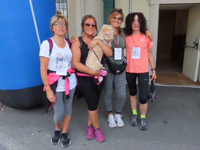 camminatagalbiate 01